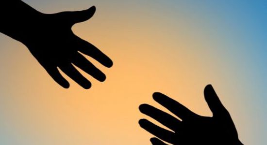 Victim Survivor Engagement Network
