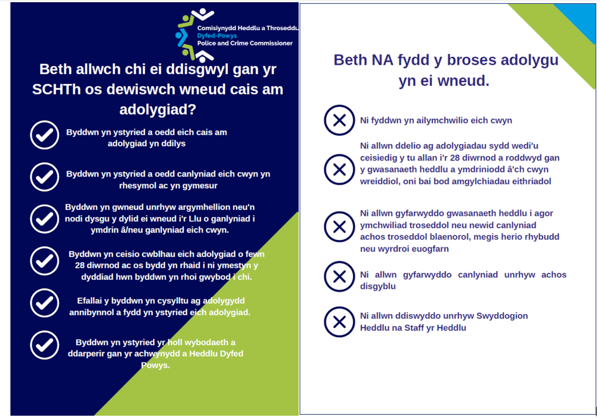 Beth i ddiswgl or adolgygiad yr SCHTh