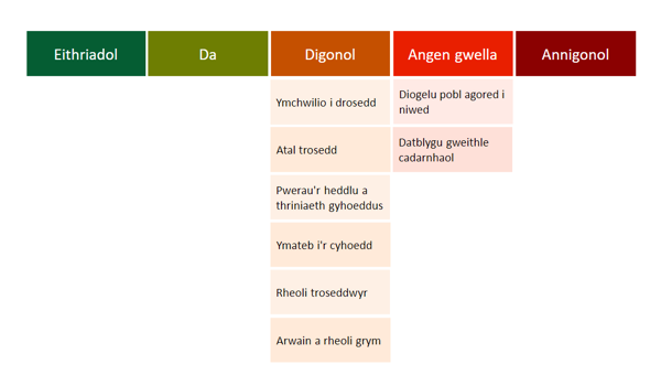 HMIC PEEL assessment