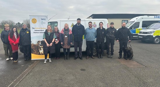 Animal Welfare Visitors